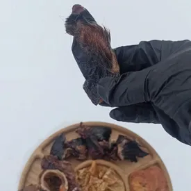 Лакомство для котов "Губы-носы говяжьи", 100 гр.